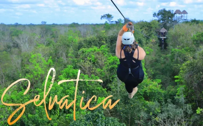 Selvatica