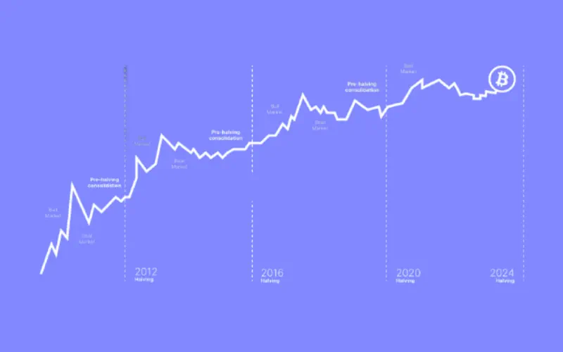 Immediate Effects on the Cryptocurrency Market