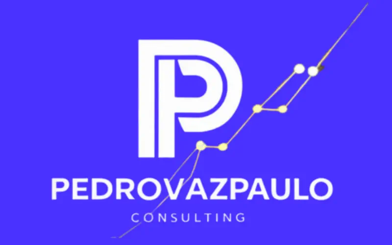 The Beginning of Pedrovazpaulo Business Consultant