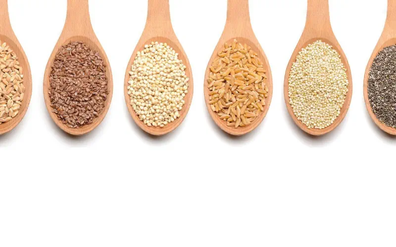 Popular Ancient Grains