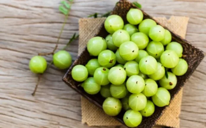 5 Reasons to Try Amla Berry