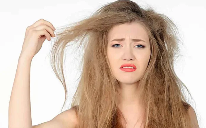 Common Hair Problems and How to Solve Them Holistically